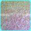 IRIDESCENT SEQUENCE EMBROIDERY LACE FABRIC