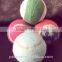 Pet Training Ball for Hot Wholesale