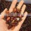 wholesale Natural crystal gravel red agate crushed tumbled stone for home decor