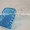 clear disposable food lunch plastic box