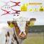 animal Insured visual ear tag without laser printing number