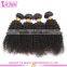 Malaysian afro kinky curly virgin hair hot sells malaysian high quality malaysian curly hair