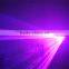 600mW Rose laser wedding party disco light