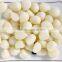 ISO Global GAP HACCP KOSHER JAS Certification Fresh Garlic and Ginger