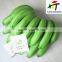 Direct factory price the good quality Ethylene Ripener for banana(11)