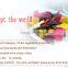 Dehydrated Mixed Fruit & Vegetable chips VF Healthy snacks
