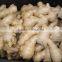 Air dried fresh ginger