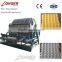 Professional Paper Egg Tray Manufacturing/Making Machine with Price