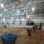 China light steel chicken coop/poultry shed building for sale