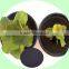Agrolink Leonardite Source 85%organic Matter&65%humic Acid & Potassium K2o 10% And 100% Solubility Humic Acid