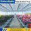 Cheap hydroponic plastic tray for plants