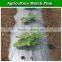 High Quality LDPE White and Black Plastic Mulch Film for Agriculture