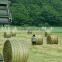 dark green silage baler net
