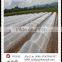 non woven Frost prevention antifreeze membrane Protect the safety of plants for the winter