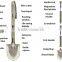 Innovative high carbon steel shovel / garden hoe /fishiing gear /outdoor camping kit