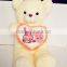 Valentine's day white teddy bear for lover