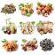 Good Quality Small Macadamia Nut Roasting Machine