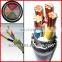 PVC Insulation/Sheath electric power Cable with Flame Retardant cable