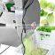 Commercial Electric Automatic Root Vegetable Cutting Machine