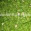 SinocharmIQF Frozen Vegetables Frozen Green Chilli Ring for wholesales