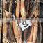 china frozen illex squid all size
