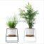 High Quality Garden Indoor De Fleurs Flower Decor Ceramic Plants Planter White Pot Stand Metal Pot Plant Pots