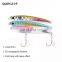 Artificial Bait Hard Baits Slow Sinking Pesca Minnow Lure  QUAN JI Fish Lure Fishing Bait