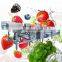 Bubble Washer Green Leafy Industrial Cabbage Fruit Portable Clean Celery Ozone Small Lettuce Vegetable Wash Machine