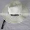 fashion panama hat