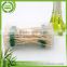 Low price good quality cocktail bamboo green tape skewer sticks