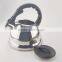2.5L eco-friendly s/s water kettle with full color coating tea pot