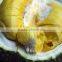 Fresh Durian - Best quality and Price - From VietNam