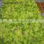 Hot Sale Pink Flower Vine, Artificial Flowers for Wedding Decoration,wedding Decoration Materials Party Ddecoration (MFL-020)