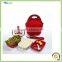 Fashion design Neoprene lunch tote bag