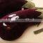 plush eggplant shape hold pillow&toy/custom plush hold pillow toy/vegetables shape hold pillow