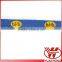 fashion lanyard/polyester lanyards/card holder lanyards