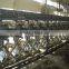 Prominent cassava starch processing machine 2.5ton/h