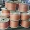 0.24mm plated type CCAM electric wire