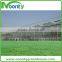 Commercial Glass Greenhouse