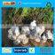 Nonwoven Fabric Garden Protection Winter Fleece Flower Cover