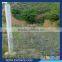PVC coated iron fence wire