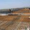 6x6 reinforcing welded wire mesh fence