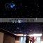 Fiber Optic Lights Item Type and Plastic Lamp Body Material fiber star light