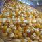 YELLOW CORN GRADE 2