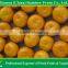agriculture products to sale mandarin oragnes
