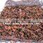 Star Anise from Vietnam Good quality & Best price !!!