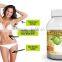 GMP manufacturer supply high quality and natural Garcinia Cambogia Extract Powder 50% 60% HCA