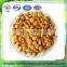 Hot selling popular raw apricot kernels