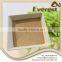 Plant Amino Acid 60% Powder/100% water solubility