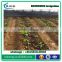 RUNNONG selling inline drip irrigation pipe/hose